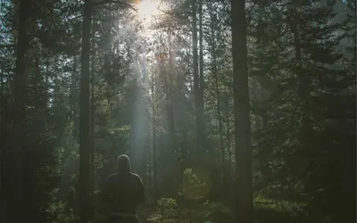 Behind the Scenes of the Year's Most Anticipated Fantasy Film
